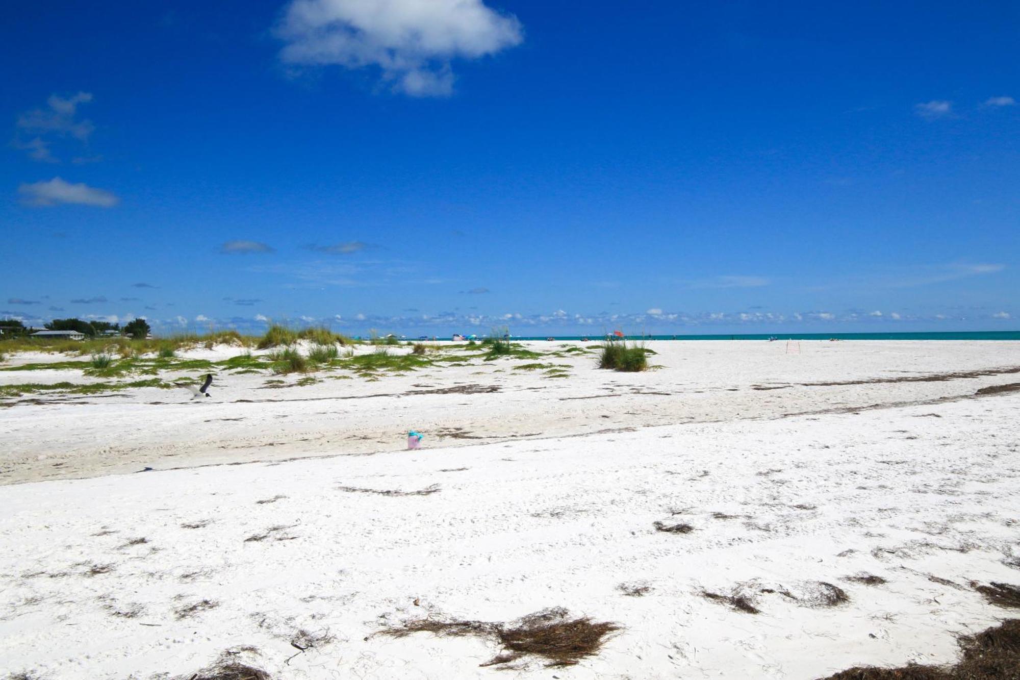 Anna Maria Island Runaway Tropical Dream-One Minute Walk To The Beach-Heated Pool Bradenton Beach Zewnętrze zdjęcie