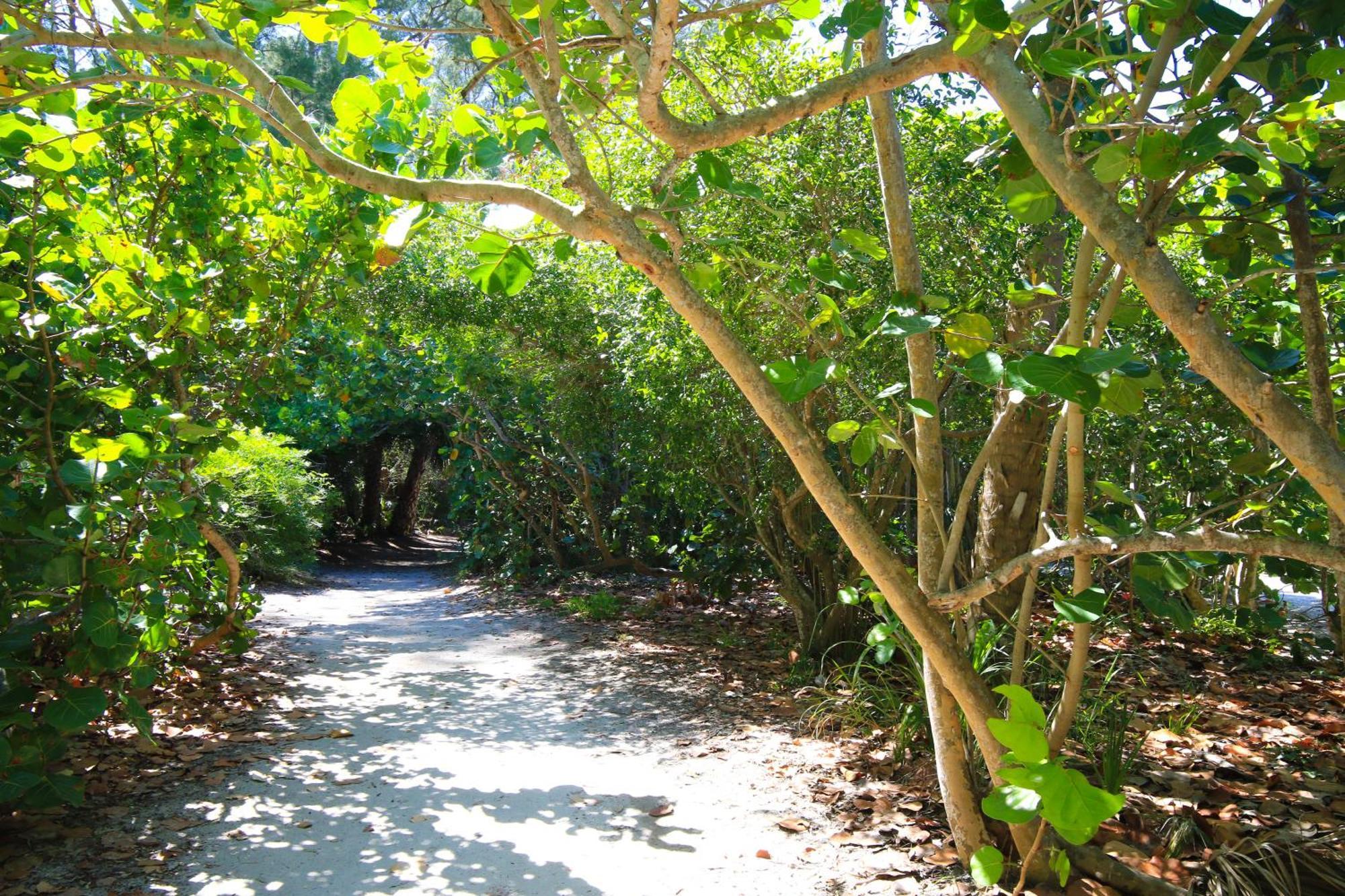 Anna Maria Island Runaway Tropical Dream-One Minute Walk To The Beach-Heated Pool Bradenton Beach Zewnętrze zdjęcie